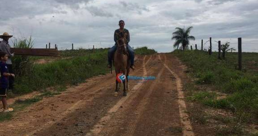 Terreno à venda na Cidade Universitária, Engenheiro Coelho 
