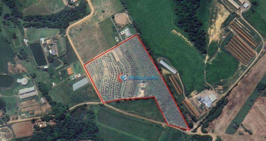 Chácara / sítio com 2 quartos à venda no Jardim Nova Alvorada, Monte Mor 