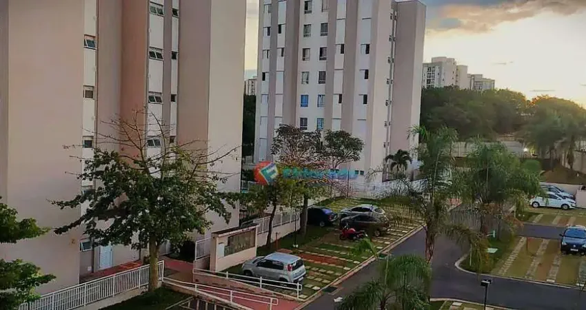 Apartamento à venda - Jardim Dulce (Nova Veneza) - Sumaré/SP