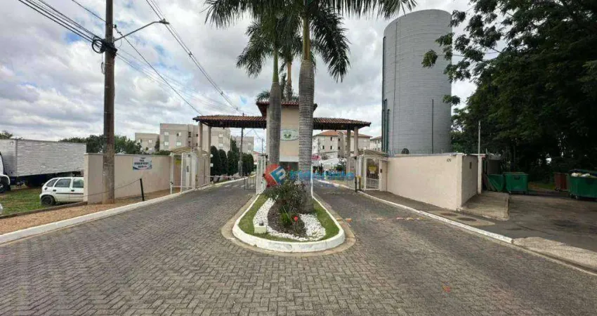 Apartamento com 2 quartos para alugar - jardim santa maria (nova veneza) - sumaré/sp