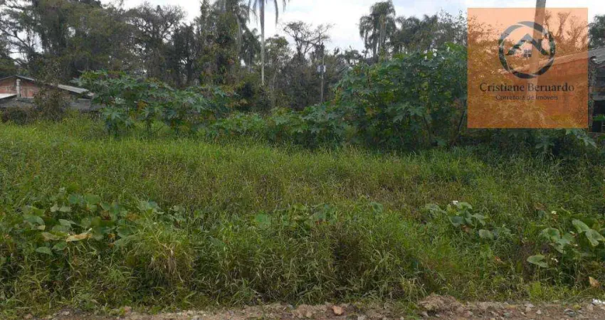 Terreno à venda, 360 m² por R$ 130.000,00 - Sandra Regina - São Francisco do Sul/SC