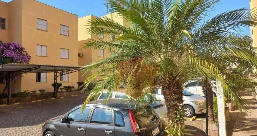 Apartamento com 2 dormitórios à venda, 53 m² por R$ 165.000,00 - Parque Bandeirantes I (Nova Veneza) - Sumaré/SP