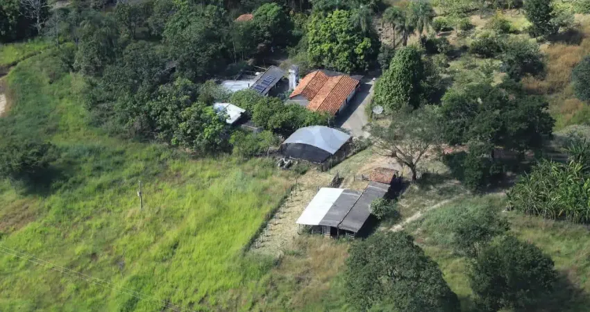 Oportunidade! sítio/ fazendinha 6,5 alqueires a 6 km caldas novas!