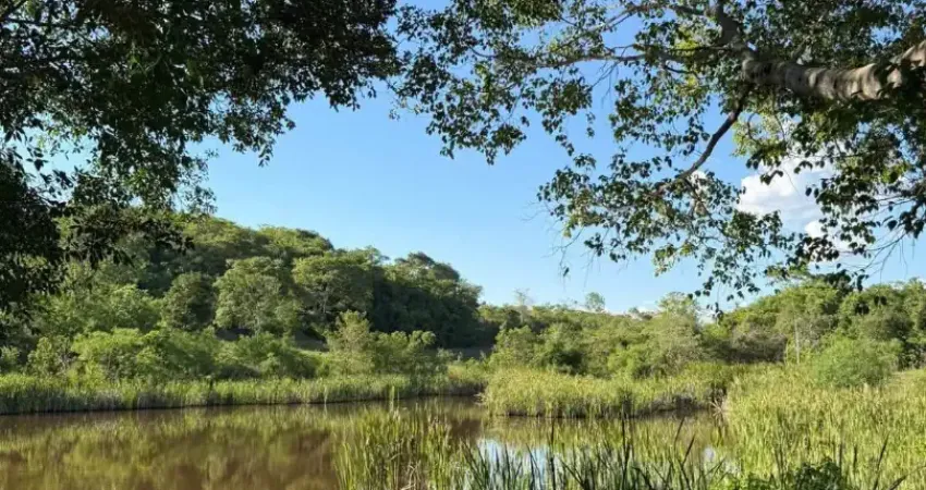 Oportunidade! sítio 13 alqueires na região paraíso - caldas novas