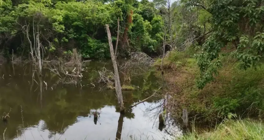 Sítio 4 alqueires a 13 km da casa, curral, 2 represas poço artesiano