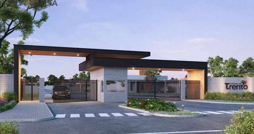 Terreno à venda, 412 m² por R$ 454.223,00 - Colônia Santa Maria - Piraquara/PR
