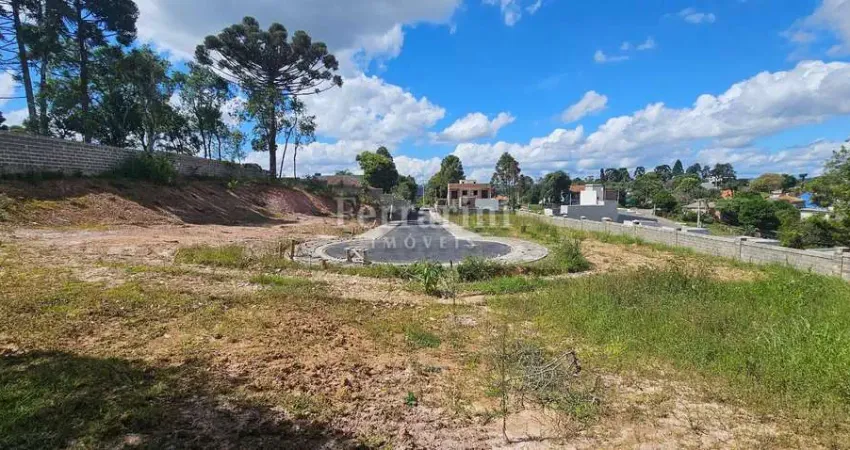 Terreno à venda na Rua Izidoro da Silva, 139, São Miguel, Almirante Tamandaré