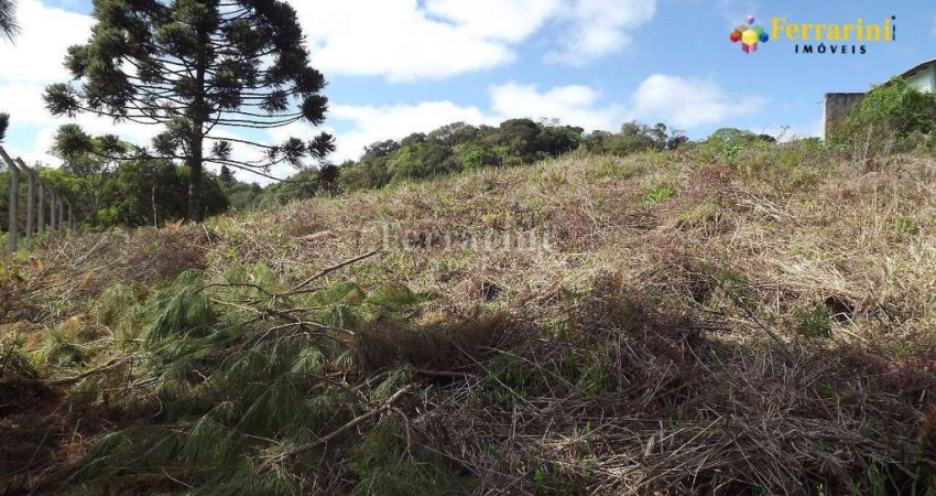 Terreno à venda na Rua Sidney Manfron,  Estrada do Cerne,, 477, Jardim Viviane, Campo Magro