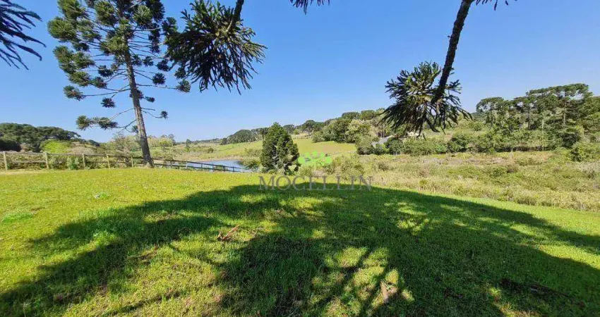 Terreno à venda, 21250 m² por R$ 1.100.000,00 - Borda do Campo - Piraquara/PR