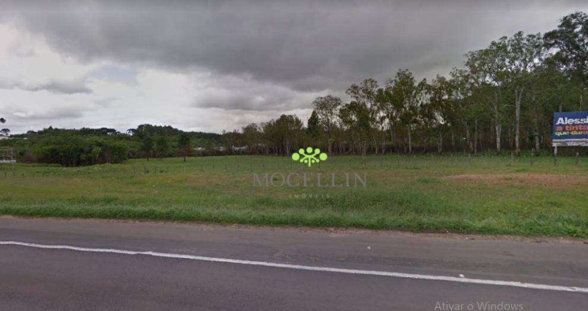 Terreno à venda, 36946 m² por R$ 14.778.400,00 - Ganchinho - Curitiba/PR