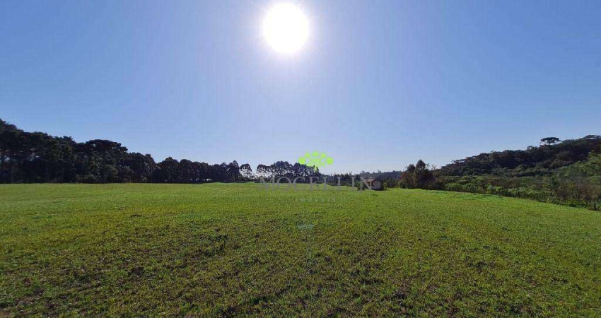 Terreno à venda, 84700 m² por R$ 1.700.000,00 - Colônia Santa Maria - Piraquara/PR