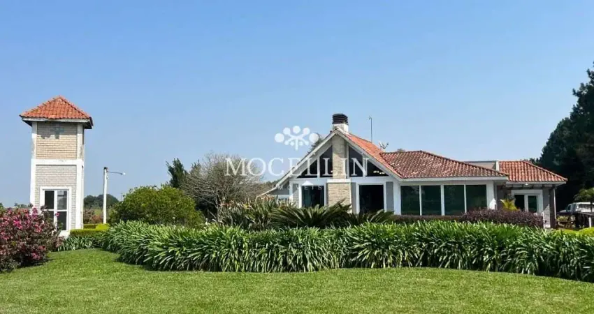 Chácara / sítio com 4 quartos à venda na da Laje, 1, Centro, Balsa Nova