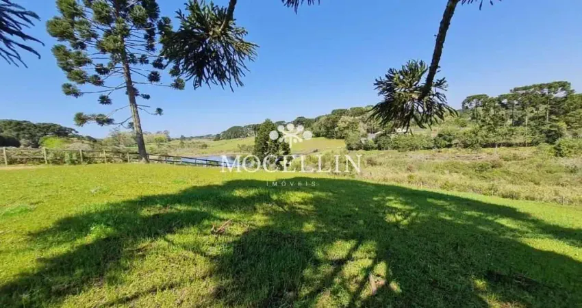 Terreno à venda na Rua João Batista de Souza Maceno, 1, Borda do Campo, Piraquara