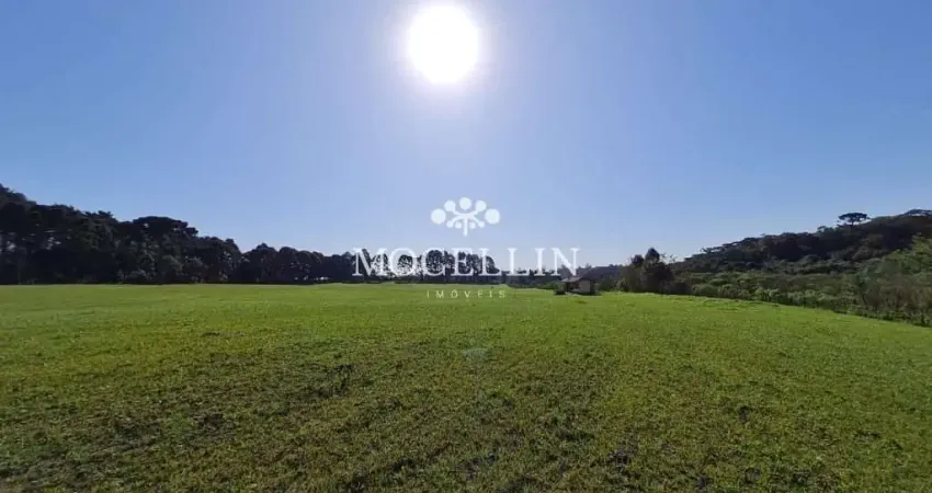 Terreno à venda na Rua João Batista de Souza Maceno, 12, Borda do Campo, Piraquara