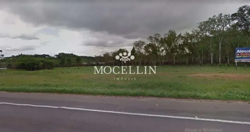 Terreno à venda na Rodovia BR-277 Curitiba-Ponta Grossa, 1, Cidade Industrial, Curitiba