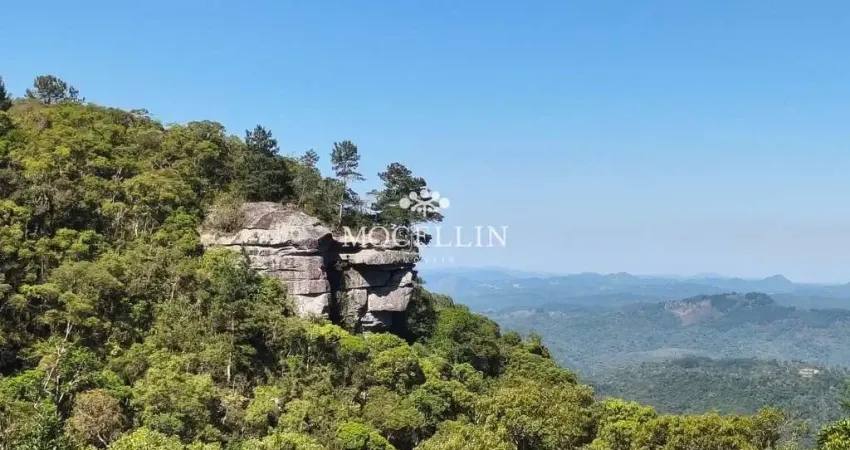 Terreno à venda na Da Laje, 2, São Luiz do Purunã, Balsa Nova