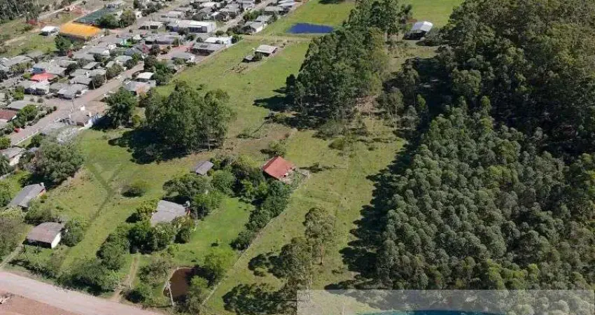 Chácara / sítio à venda na Adalberto Borges dos Santos, 149, Boqueirão, Capela de Santana