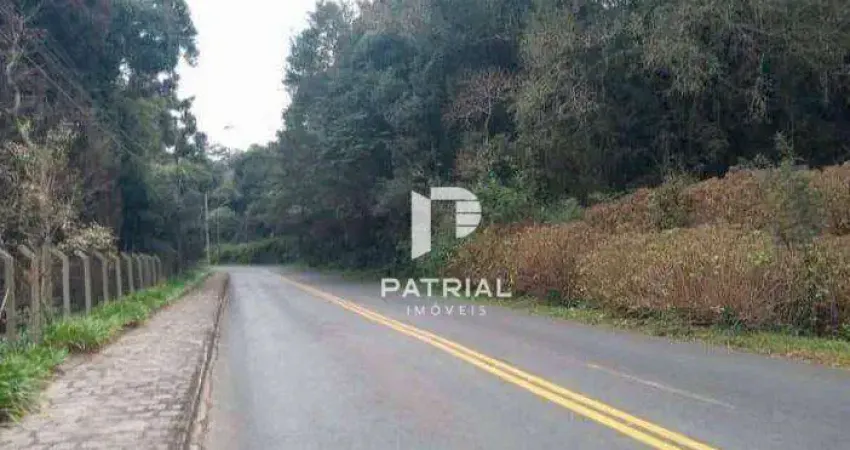 Terreno à venda na Rua Mato Grosso, 2650, Ferraria, Campo Largo