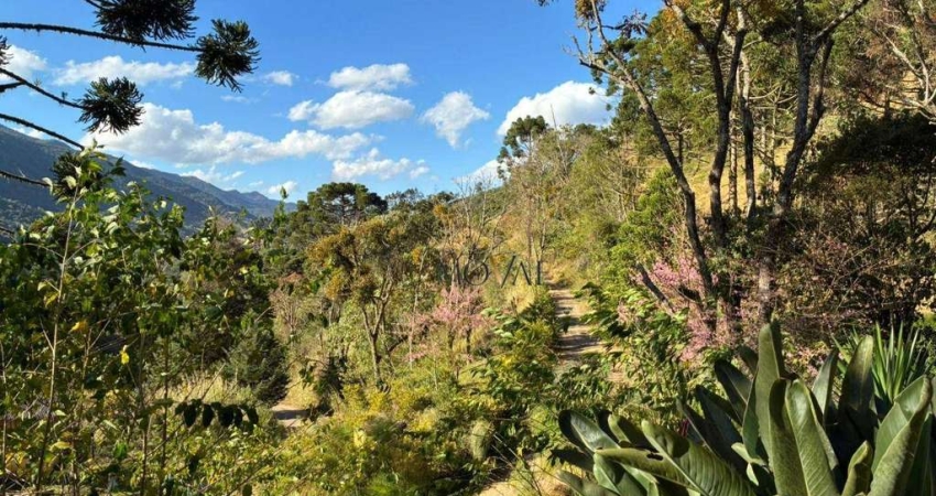 Chácara com 48.000 m² - municipio de Sapucaí Mirim (MG)