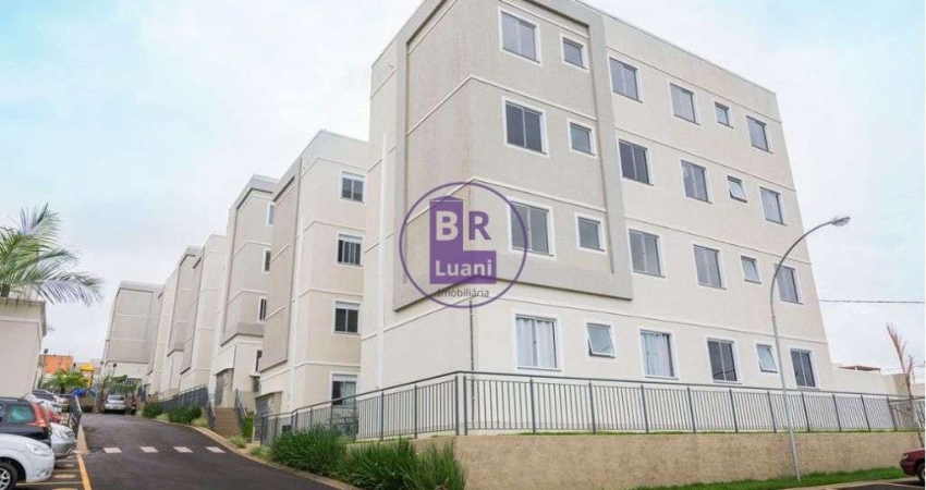 Apartamento com 2 quartos à venda no Jardim Maria Luiza, Londrina 