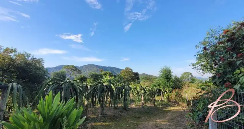 Chácara / sítio com 2 quartos à venda na Pedra de Amolar, Ilhota 