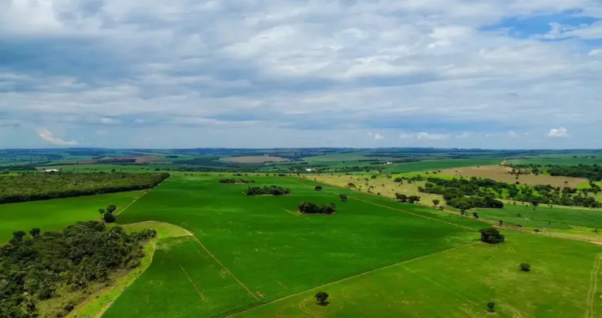 Fazenda de 9.5 alqueres na região de piracanjuba a 15km da cidade