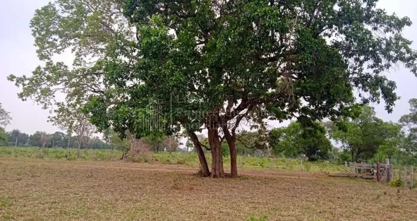Fazenda à venda, 114.86 hectares, ZONA RURAL, NIOAQUE - MS