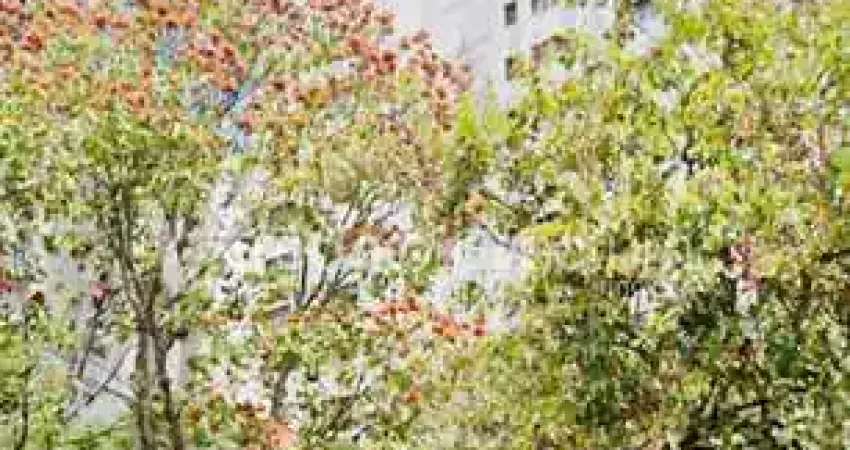 Apartamento com 4 quartos à venda na Avenida Princesa D'Oeste, 1295, Jardim Proença, Campinas