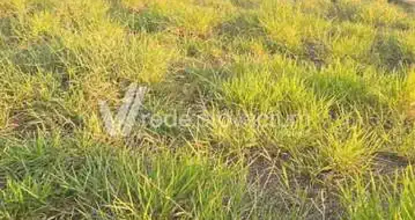 Terreno à venda no Residencial Bela Aliança, Campinas