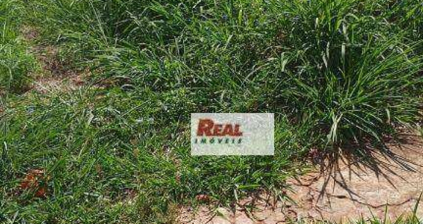 Terreno à venda, 250 m² por R$ 140.000,00 - Presidente - Araçatuba/SP
