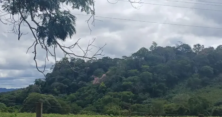 A&M IMOVEIS VENDE FAZENDA NO BOQUEIRAO NA FERCAL COM 101 HECTARES