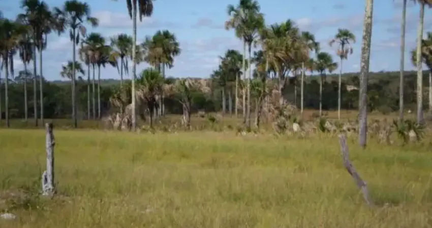 A&M Imoveis vende exelente Fazenda em Minas Gerais com 1366 Hectares