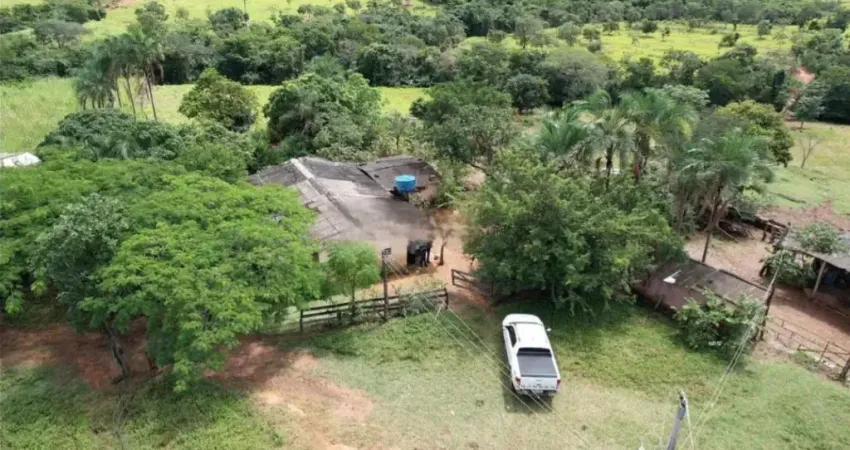 Fazenda à venda na Avenida Central, Zona Rural, Cabeceira Grande