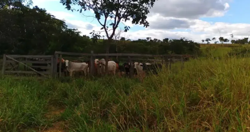 A&m imoveis vende otima  fazenda entre cabeceira grande e palmital