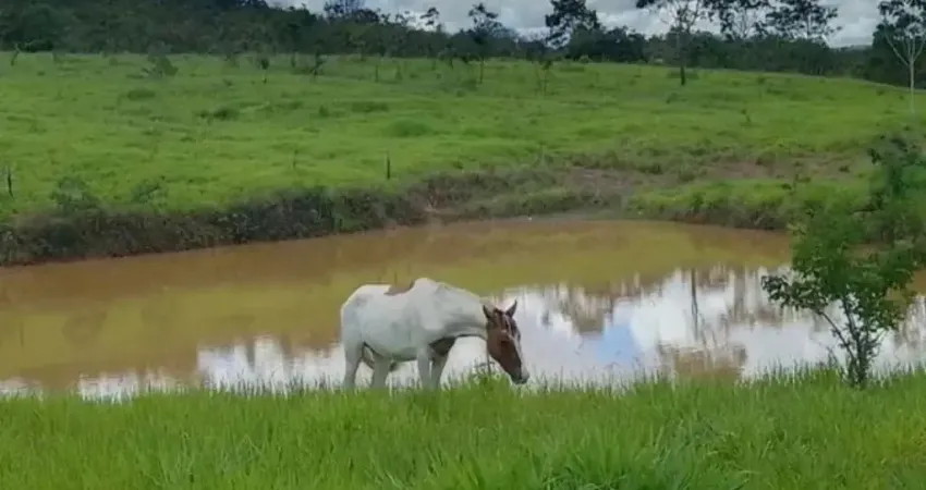 A&m Imoveis vende fazenda em sobradinho dos melos, região do Paranoá-DF 60 hectares