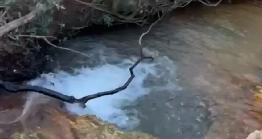 A&m imoveis vende exelente fazenda com 306hectares em agua fria -go