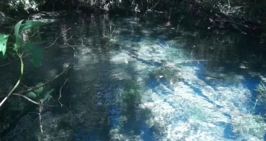 A&m imoveis vende chácara na chapada dos veadeiros entre alto paraíso e são jorge com 4hectares escriturado  e registrado no coração da chapada dos veadeiros, no km 14 da rodovia parque go-239