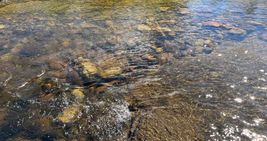 A&m imoveis vende na chapada dos veadeiros , sítio com 290.000m2 com rio e vista fantástica.