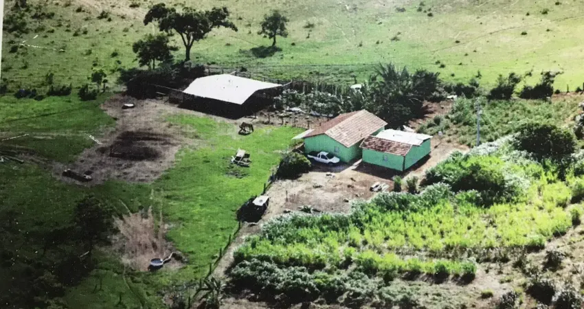 A&m imoveis vende fazenda paracatu com 244hectares toda documentada