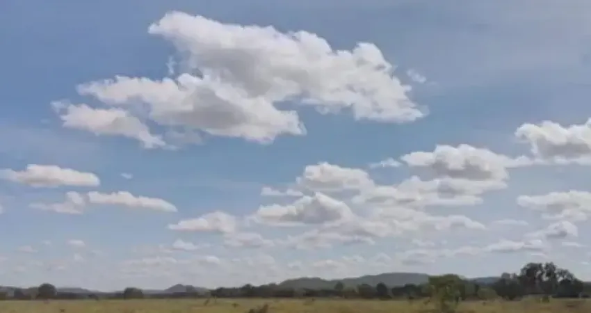 * a&m imoveis vende exelente fazenda com 378hectares  em unai  mg