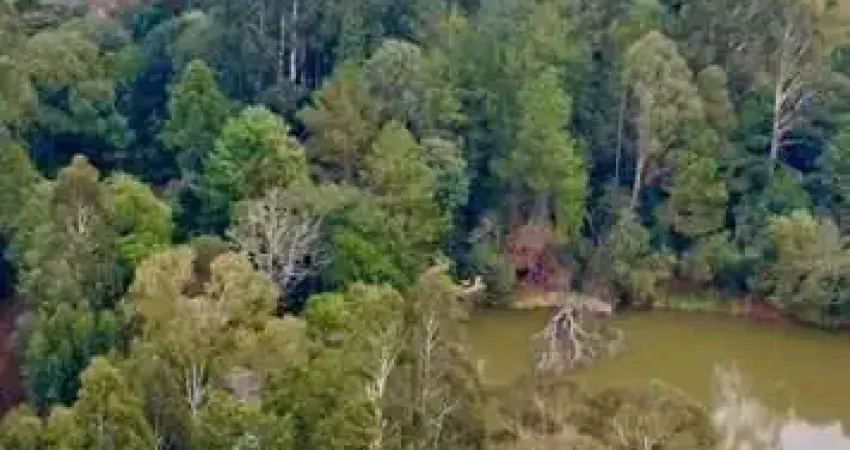 Fazenda à venda, 43700 m² por r$ 1.000.000,00 - morro alto - guarapuava/pr