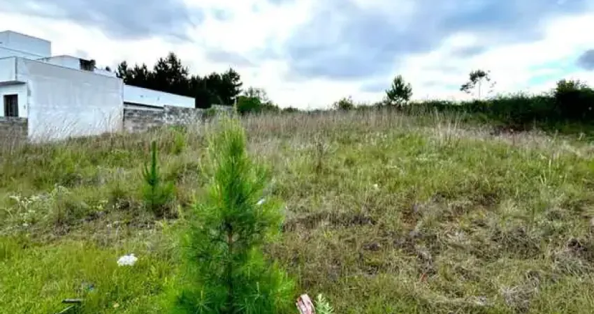 Terreno à venda em gravataí, loteamento jardim timbaúva, com 162.5 m²