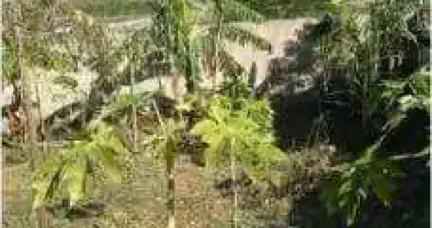 Terreno à venda no Horto, Macaé 