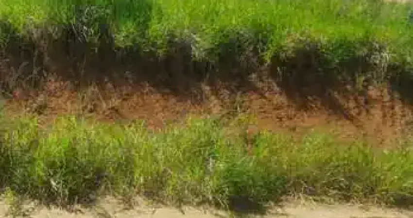 Terreno à venda, 450 m² por R$ 95.000,00 - Mar do Norte - Rio das Ostras/RJ