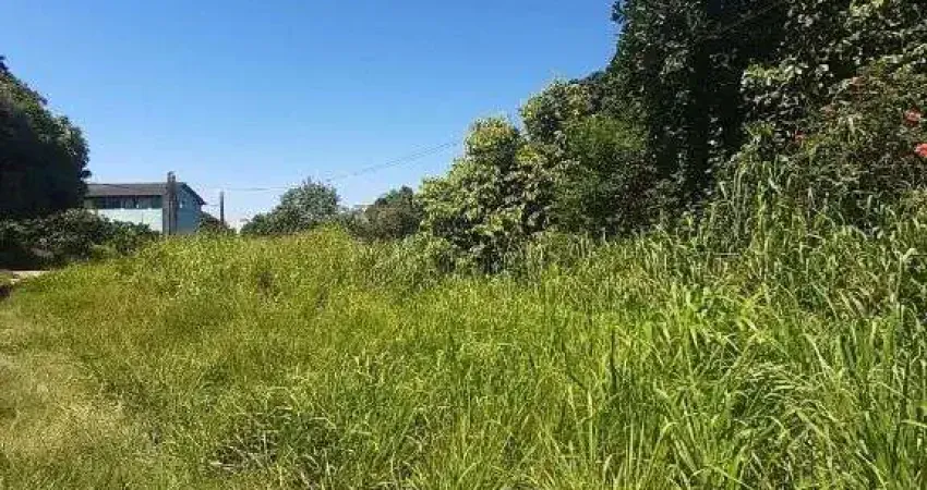 Terreno à venda, 3350 m² por R$ 1.700.000,00 - Novo Cavaleiro - Macaé/RJ.