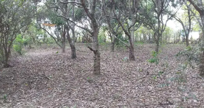 Atlântica imóveis tem excelente terreno à venda, 4940 m² - imburo - macaé/rj.