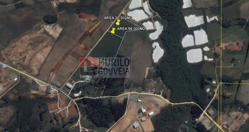 Área com 20.000 m², à venda por R$ 5.000.000 - Eucaliptos, Fazenda Rio Grande (PR)