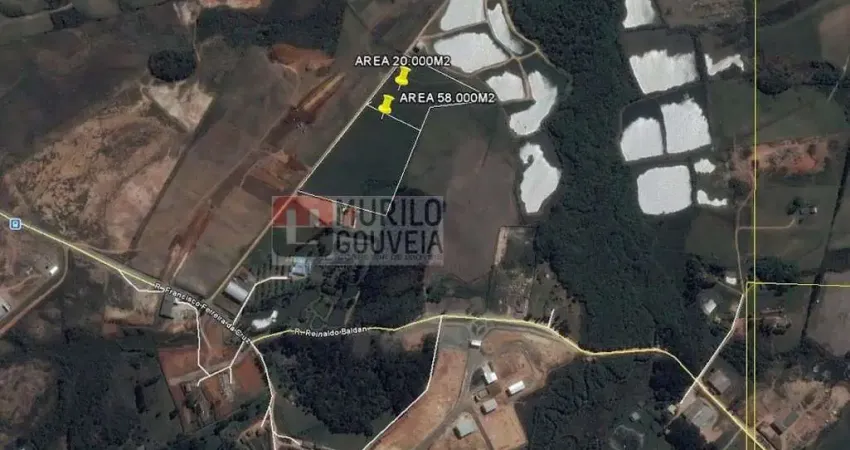 Área com 20.000 m², à venda por r$ 5.000.000 - eucaliptos, fazenda rio grande (pr)