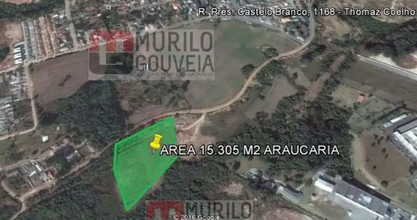 Terreno com 15.305 m², à venda por r$ 5.356.750 - thomaz coelho, araucária (pr) - zi