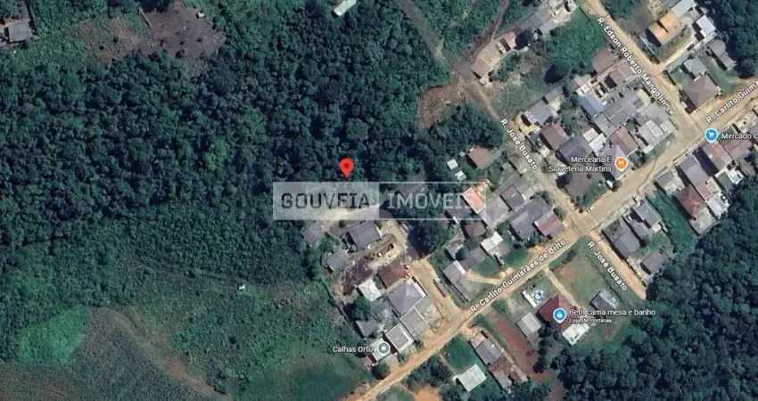 Terreno com 390 m², à venda por r$ 100.000 - mato dentro, almirante tamandaré (pr) - zr-1